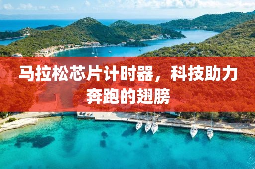 马拉松芯片计时器，科技助力奔跑的翅膀