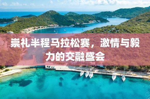 崇礼半程马拉松赛，激情与毅力的交融盛会