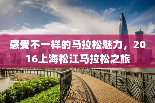 感受不一样的马拉松魅力，2016上海松江马拉松之旅