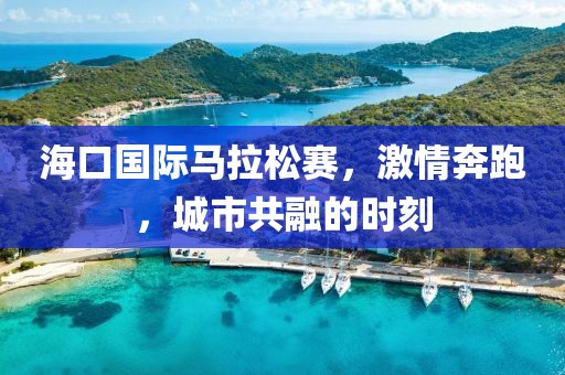 海口国际马拉松赛，激情奔跑，城市共融的时刻