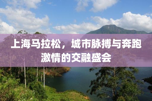 上海马拉松，城市脉搏与奔跑激情的交融盛会