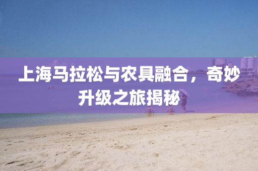 上海马拉松与农具融合，奇妙升级之旅揭秘