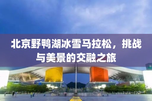北京野鸭湖冰雪马拉松，挑战与美景的交融之旅
