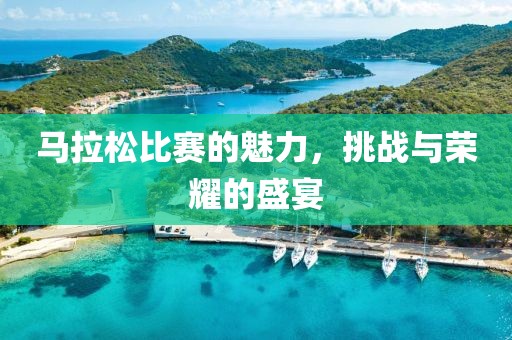马拉松比赛的魅力，挑战与荣耀的盛宴