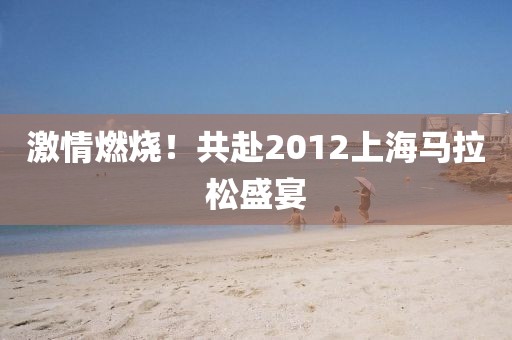 激情燃烧！共赴2012上海马拉松盛宴