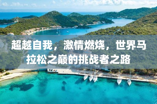 超越自我，激情燃烧，世界马拉松之巅的挑战者之路