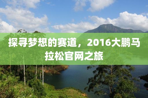 探寻梦想的赛道，2016大鹏马拉松官网之旅