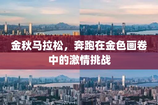 金秋马拉松，奔跑在金色画卷中的激情挑战