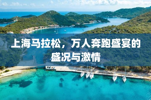 上海马拉松，万人奔跑盛宴的盛况与激情