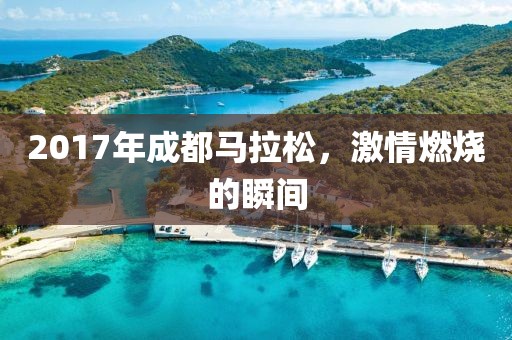 2017年成都马拉松，激情燃烧的瞬间