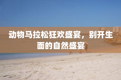 动物马拉松狂欢盛宴，别开生面的自然盛宴