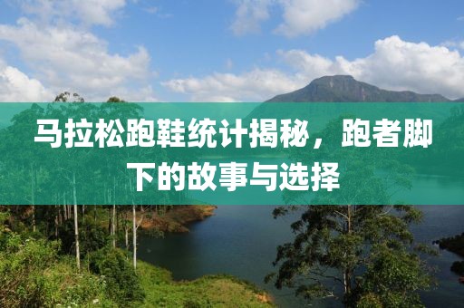 马拉松跑鞋统计揭秘，跑者脚下的故事与选择