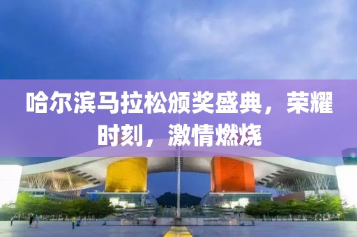 哈尔滨马拉松颁奖盛典，荣耀时刻，激情燃烧