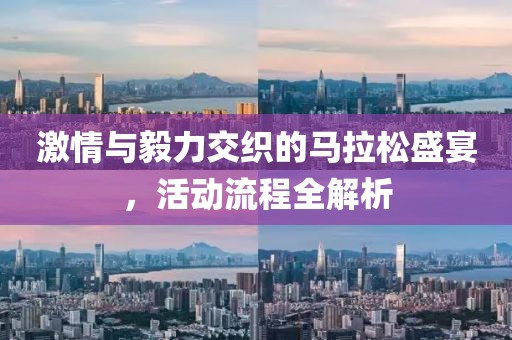 激情与毅力交织的马拉松盛宴，活动流程全解析