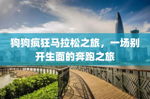 狗狗疯狂马拉松之旅，一场别开生面的奔跑之旅
