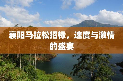 襄阳马拉松招标，速度与激情的盛宴