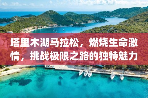 塔里木湖马拉松，燃烧生命激情，挑战极限之路的独特魅力