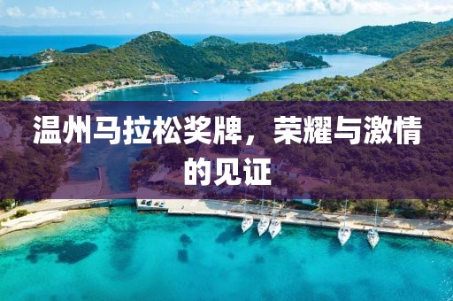 温州马拉松奖牌，荣耀与激情的见证