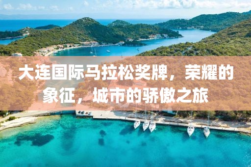 大连国际马拉松奖牌，荣耀的象征，城市的骄傲之旅