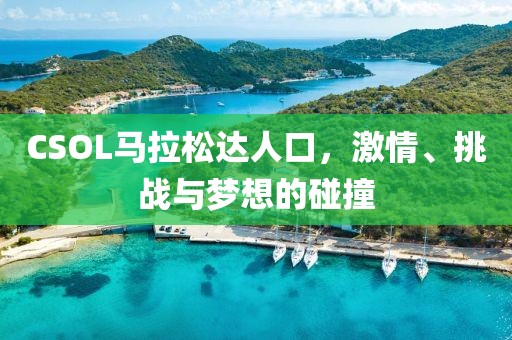 CSOL马拉松达人口，激情、挑战与梦想的碰撞