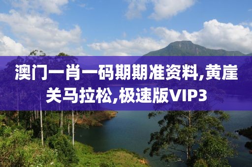 澳门一肖一码期期准资料,黄崖关马拉松,极速版VIP3