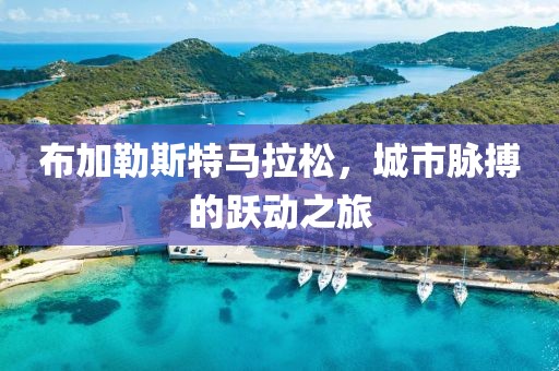 布加勒斯特马拉松，城市脉搏的跃动之旅