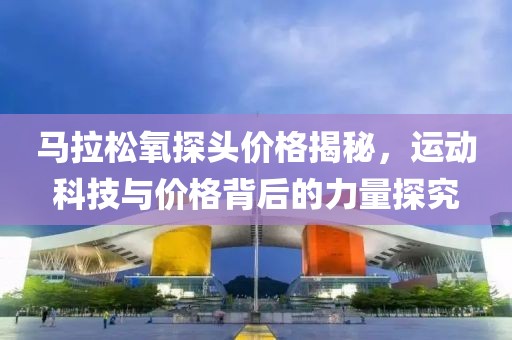 马拉松氧探头价格揭秘，运动科技与价格背后的力量探究