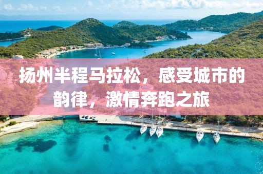 扬州半程马拉松，感受城市的韵律，激情奔跑之旅