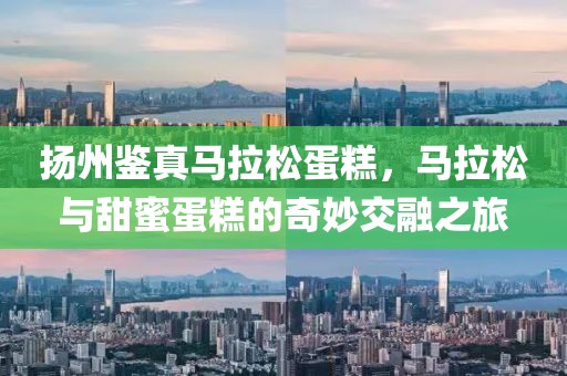 扬州鉴真马拉松蛋糕，马拉松与甜蜜蛋糕的奇妙交融之旅