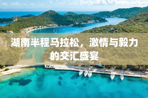 湖南半程马拉松，激情与毅力的交汇盛宴
