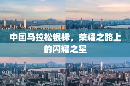 中国马拉松银标，荣耀之路上的闪耀之星