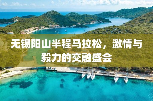 无锡阳山半程马拉松，激情与毅力的交融盛会