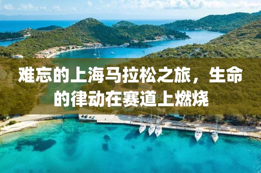 难忘的上海马拉松之旅，生命的律动在赛道上燃烧