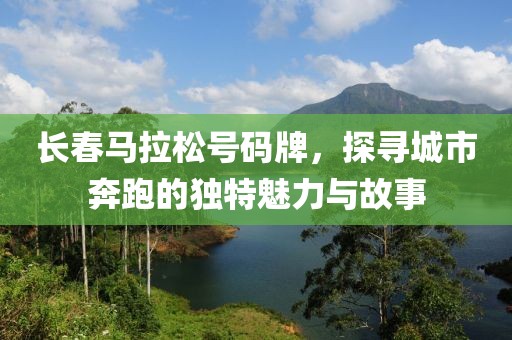 长春马拉松号码牌，探寻城市奔跑的独特魅力与故事