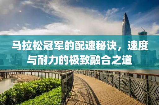 马拉松冠军的配速秘诀，速度与耐力的极致融合之道