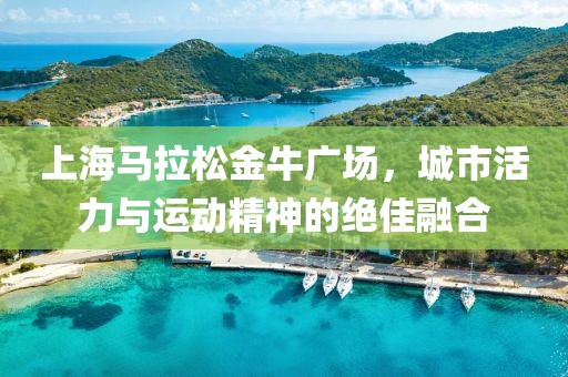 上海马拉松金牛广场，城市活力与运动精神的绝佳融合