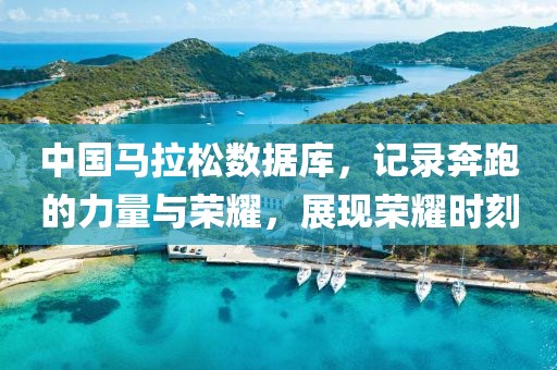 中国马拉松数据库，记录奔跑的力量与荣耀，展现荣耀时刻