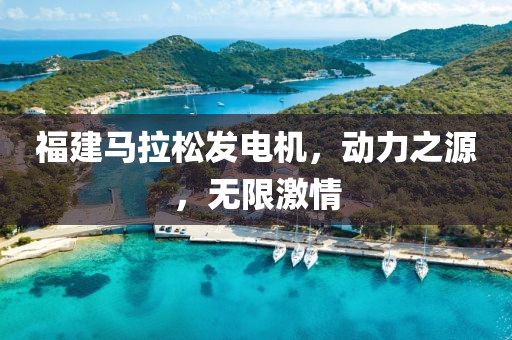 福建马拉松发电机，动力之源，无限激情