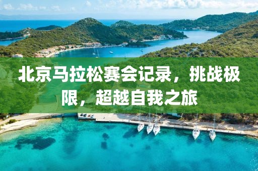 北京马拉松赛会记录，挑战极限，超越自我之旅