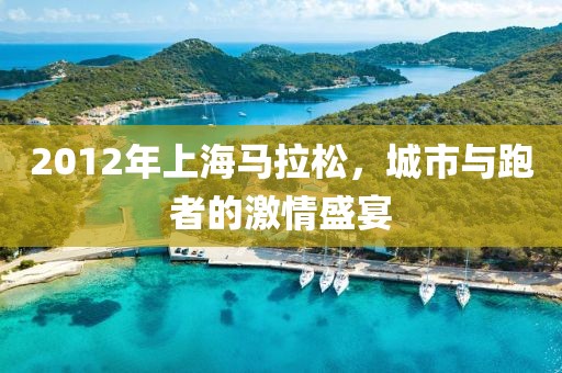 2012年上海马拉松，城市与跑者的激情盛宴