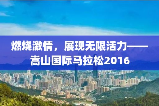 燃烧激情，展现无限活力——嵩山国际马拉松2016
