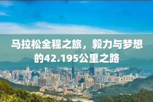 马拉松全程之旅，毅力与梦想的42.195公里之路