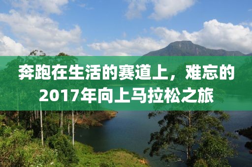 奔跑在生活的赛道上，难忘的2017年向上马拉松之旅