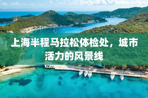 上海半程马拉松体检处，城市活力的风景线