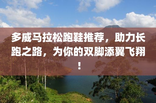 多威马拉松跑鞋推荐，助力长跑之路，为你的双脚添翼飞翔！