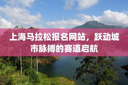 上海马拉松报名网站，跃动城市脉搏的赛道启航