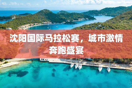 沈阳国际马拉松赛，城市激情奔跑盛宴
