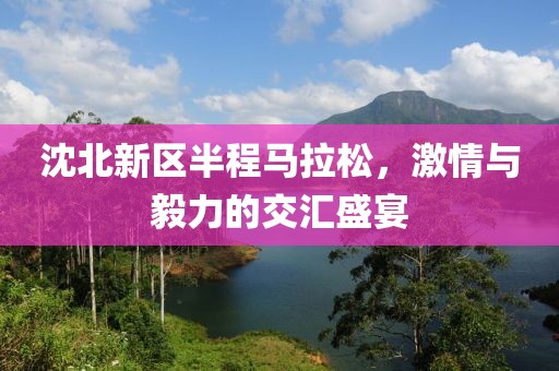 沈北新区半程马拉松，激情与毅力的交汇盛宴