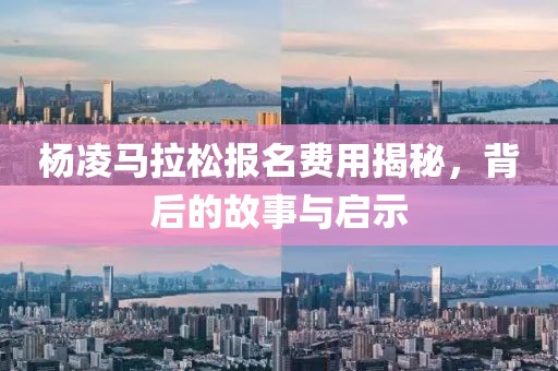 杨凌马拉松报名费用揭秘，背后的故事与启示
