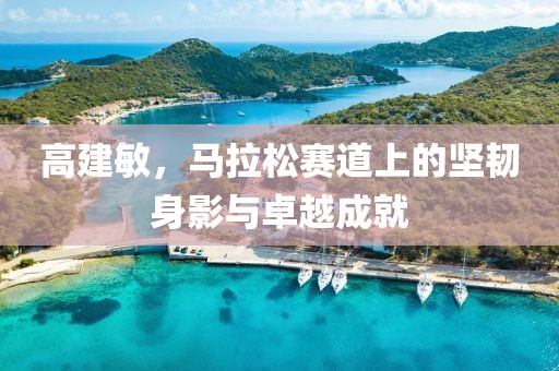 高建敏，马拉松赛道上的坚韧身影与卓越成就